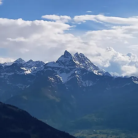 Le Perchoir *